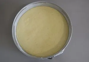 teglia con impasto di torta di clementine