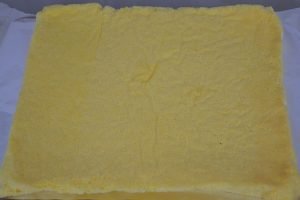 base per tronchetto di natale sfornata