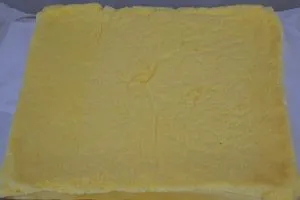 base per tronchetto di natale sfornata