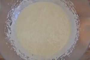 procedimento per il plumcake al limone