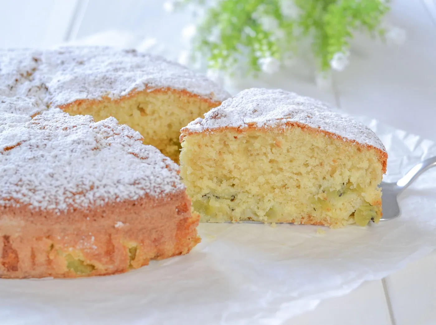 torta di kiwi