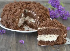 torta mimosa al cioccolato servita