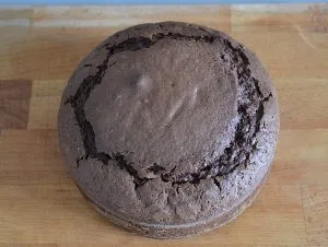 torta mimosa al cioccolato sfornata