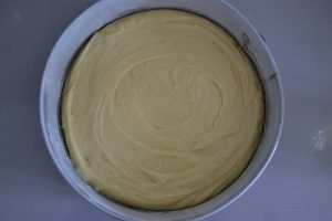 base per torta ai mirtilli