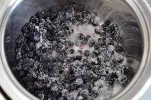ricetta della torta ai mirtilli