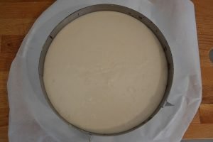 cheesecake alle nocciole nello stampo