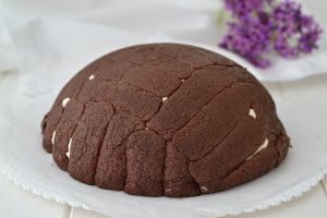 zuccotto con gocce di cioccolato pronto
