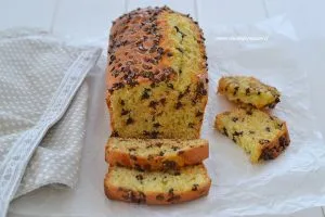 plumcake con gocce di cioccolato sfornato