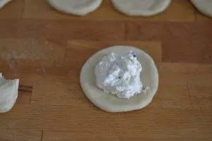 preparazione delle iris al forno