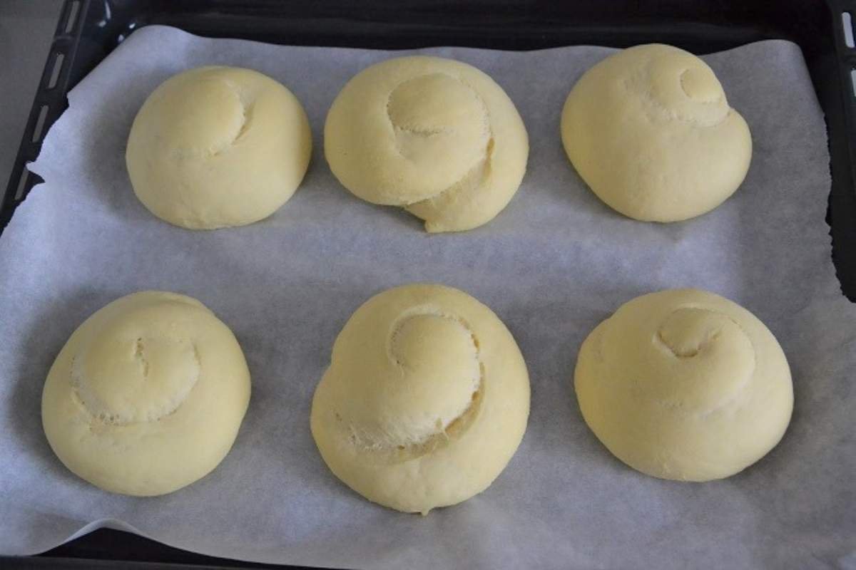 friselle da infornare